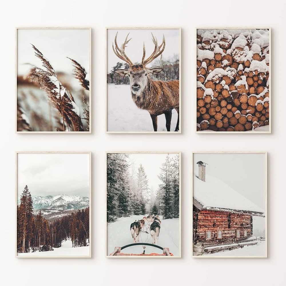 Galleria Invernale: Poster di  - Photography Poster recensione e prezzo