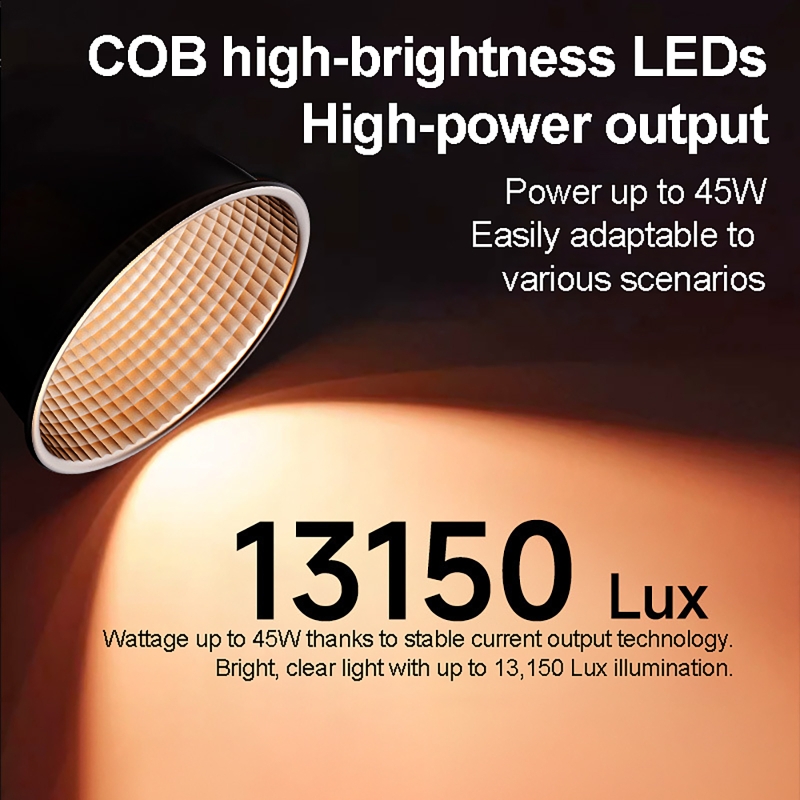 Luce Video RGB 60W Portatile L - Photography Darkroom recensione e prezzo